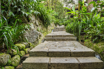 Stone staireway in jungle resort