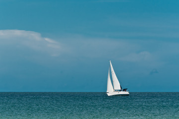 Fototapeta premium Front view, very long distance of a single sailboat underway on a windy, sunny, winter day on the gulf of mexico