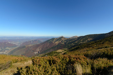 Naklejka premium View the meadows in The Vratna valley at the national park Mala Fatra