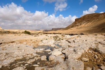 Obraz premium Scenic mountain landscape after rain in Negev desert, Israel
