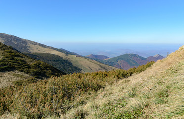 Fototapeta premium View the meadows in The Vratna valley at the national park Mala Fatra