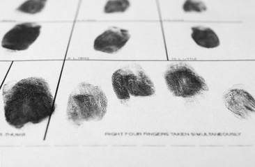 Police form with fingerprints, closeup. Forensic examination