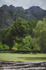 Beautiful view of the mountain with grass and animals in the mountains of Patagonia.