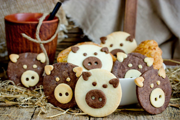 Shortbread sugar cookies shaped funny pigs with cocoa