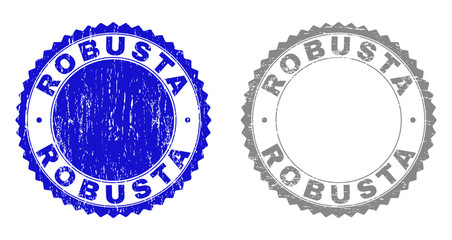 Grunge ROBUSTA stamp seals isolated on a white background. Rosette seals with grunge texture in blue and grey colors. Vector rubber stamp imitation of ROBUSTA tag inside round rosette.