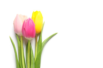 Fototapeta premium Beautiful spring tulips on white background, top view. International Women's Day