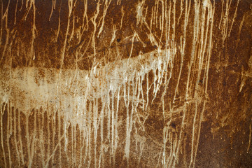 Fototapeta premium Rusty and Scratched Metal Sheet