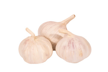 Three heads of garlic, isolated, on white background