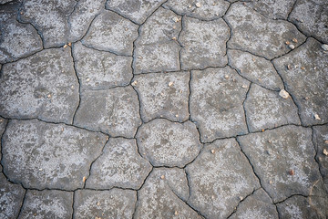 Surface of parched salt lake