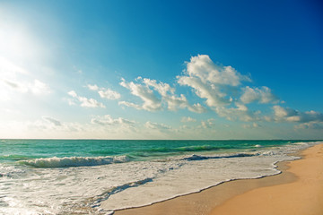 Paradise nature, heron and summer on the tropical beach.