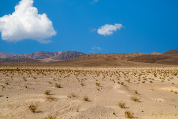 The Death Valley Desert Landscape