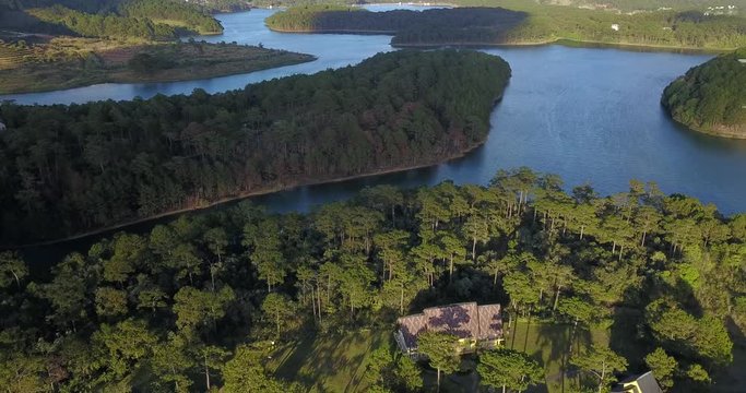 green pine forest in tuyen lam lake