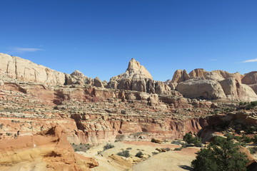 Fototapeta premium usa