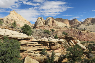 Fototapeta premium usa