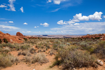 Fototapeta premium Utah Landscape
