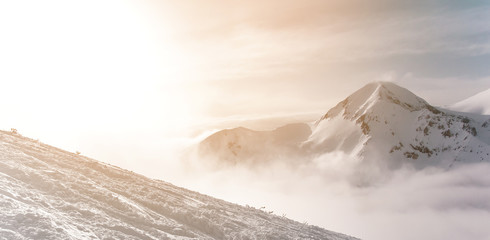 winter snow peak with mountainous terrain and snow covered trees texture. Bansko, Bulgaria