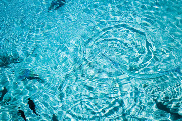 Beautiful reef fish on sea background