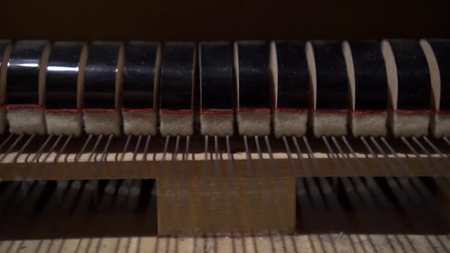 Grand piano from the inside with strings