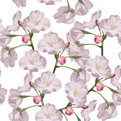 Seamless pattern with hand drawn sakura flowers. Beautiful floral design elements, white background.