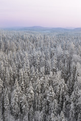 a view over a snowy forest and a purple sky on a winter day in Finland