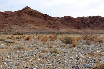 dried riverbed dry soil - Namibia Africa