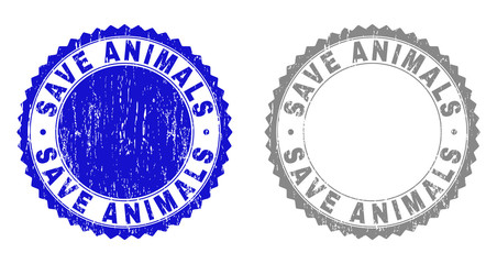 Grunge SAVE ANIMALS stamp seals isolated on a white background. Rosette seals with grunge texture in blue and gray colors. Vector rubber watermark of SAVE ANIMALS tag inside round rosette.