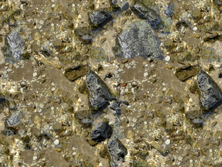 stones with sand in the water macro, mountain river, seamless texture