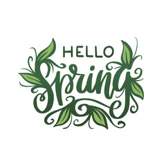 Hello Spring hand drawn lettering typography. Vector illustration.
