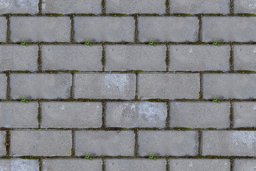 Obraz premium pavement from paving stones with grass sprouted in the seams, seamless