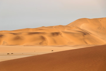 Obraz na płótnie Canvas sand dune (swakopmund) - Namibia Africa