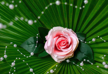 rose with pearls on a palm leaf