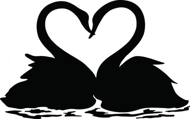 A pair of swans swimming together in a lake, black and white illustration, Valentine's day, 14 February