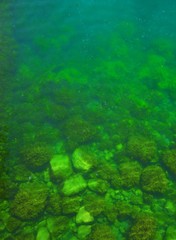 Green clear water of the Black Sea in Crimea