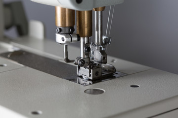 sewing process on sewing professional manufacturing machine with metal needle detailed by white caucasian woman's hands holding lace fabric for lingerie production