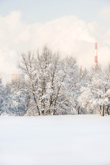 factory pipes and trees in the snow in winter