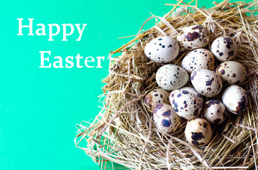 Obraz premium Many Easter quail eggs in a nest of dry grass.