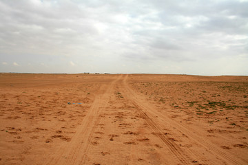 Roaming the Untamed: Exploring the Wild Roads of Al-Bandariya Governorate, Qassim