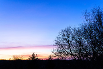 Fototapeta premium Sonnenuntergang mit Baum