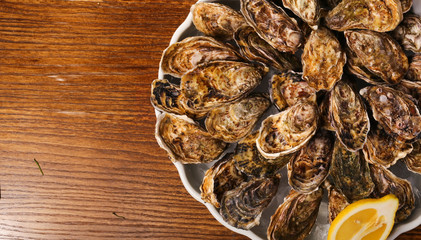 oyster shells on black wood