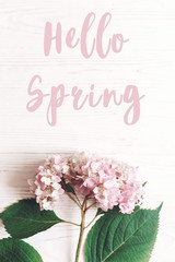 Hello Spring text sign on beautiful pink hydrangea flower on rustic white wood, flat lay. Stylish floral greeting card.