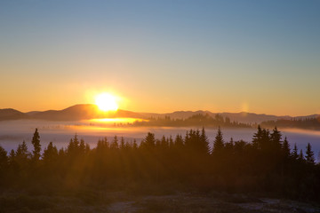 Carpathian mountain sunny landscape