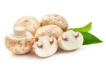 Fresh Champignon Mushrooms with basil, close-up, isolated on white background