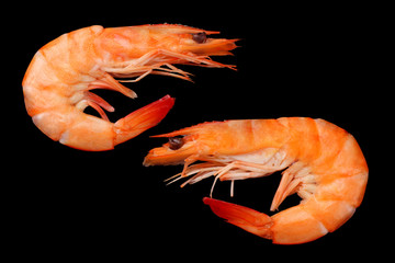 shrimps isolated on a black background. top view
