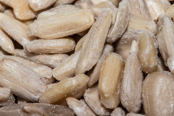Raw Sunflower Seeds