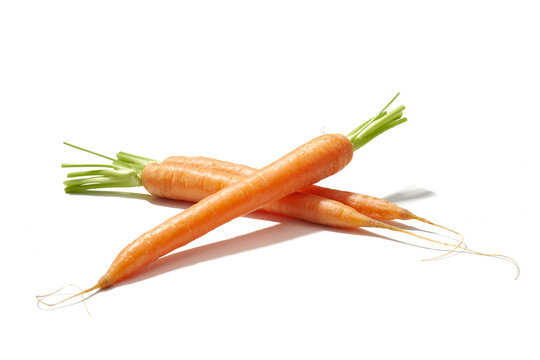 Marchew na białym tle