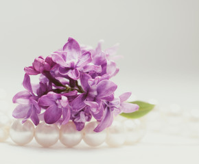 Macro picture of bright violet lilac flowers on a white background. Abstract romantic floral background.