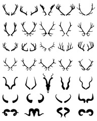 Black silhouettes of different horns of deer, sheep, buffalo and antelopes