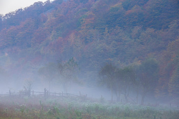 Misty autumn scenery in remote rural area in the mountains in Europe