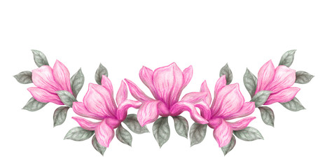 Hand drawn painting watercolor pencils and paints pink magnolia flowers isolated on white background