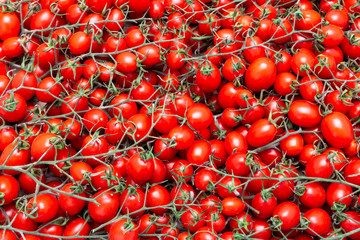 Background of little fresh organic tomatoes.
